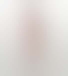 Sunset Sherbert Preroll 0.5g