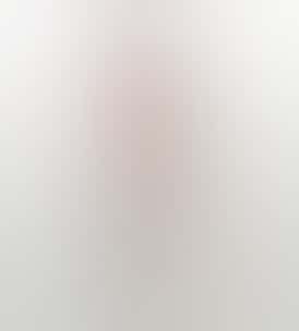 Godfather OG Preroll 0.5g