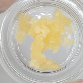 Moose Drool Terp Sugar - 0.5g