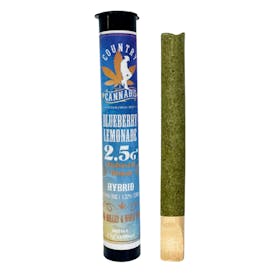 Blueberry Lemonade | Infused Blunt | 2.5G