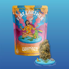FLAT EARTHER