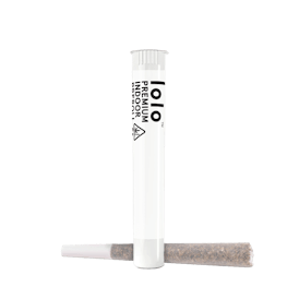 Bubba Gum | Indoor Preroll | 1g