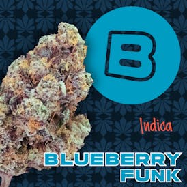 Blueberry Funk | Flower | 2.83g