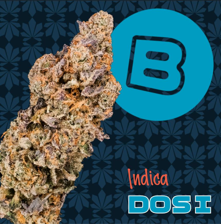 Dosidos