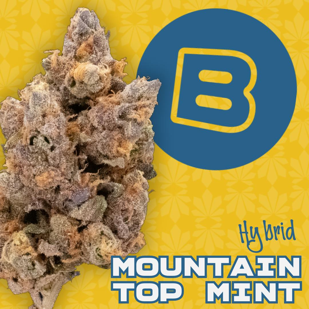 Mountaintop Mint | Flower | 14.15 Smalls