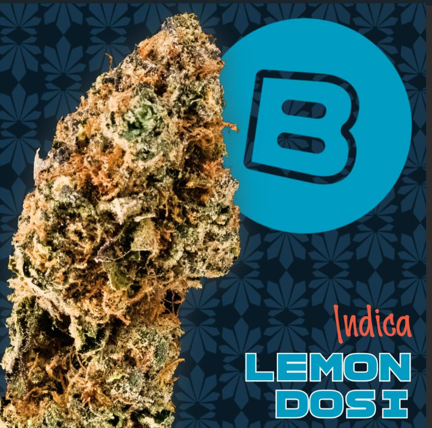Lemon Dosidos