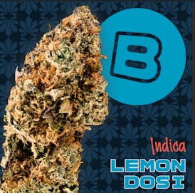 Lemon Dosidos | Flower | 2.83g