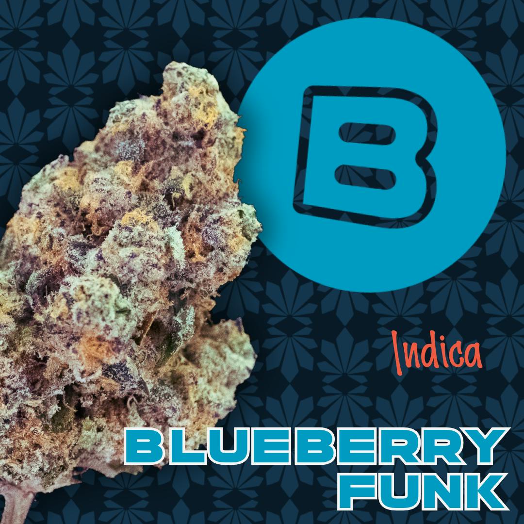 Blueberry Funk | Flower | 14.15g