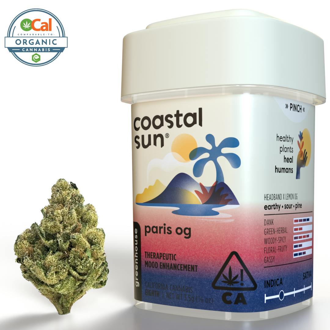 Coastal Sun: Paris OG
