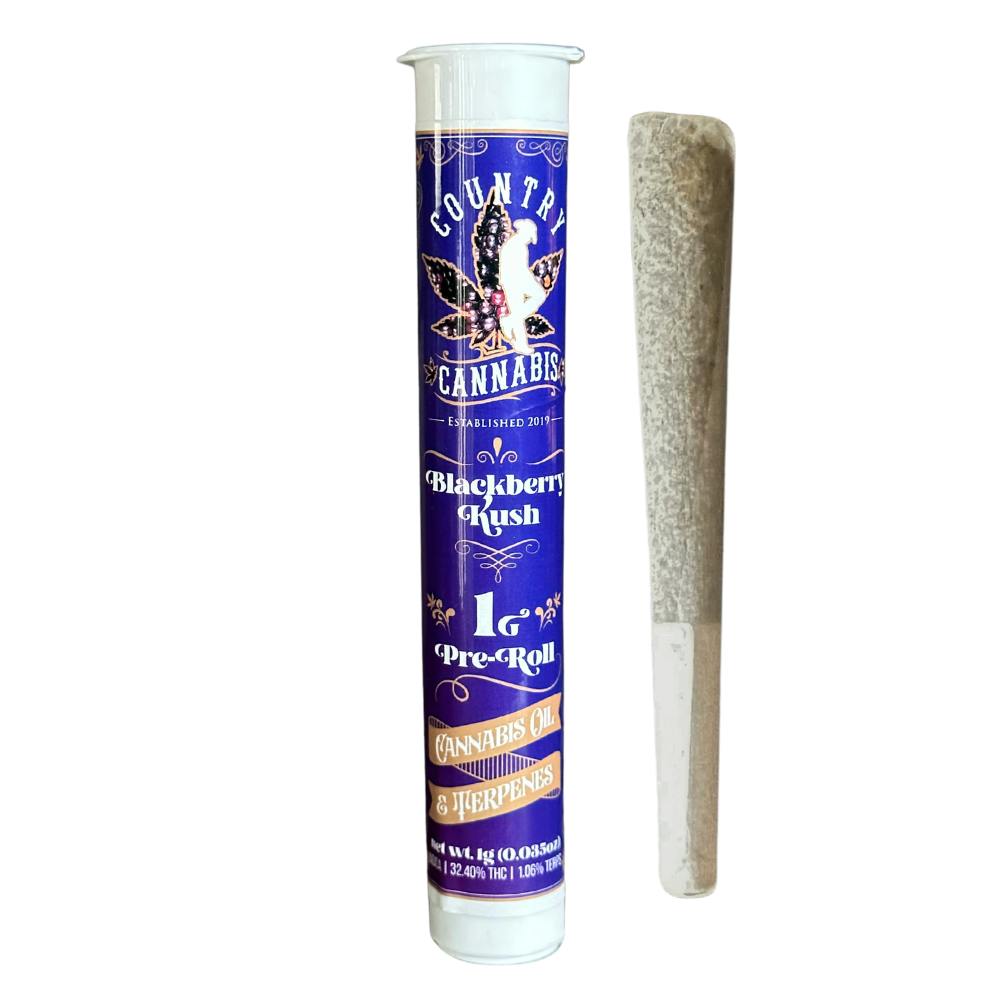 Blackberry Kush | Infused Pre-Roll | 1G