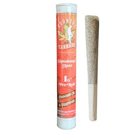 Cantaloupe Haze | Infused Pre-Roll | 1G