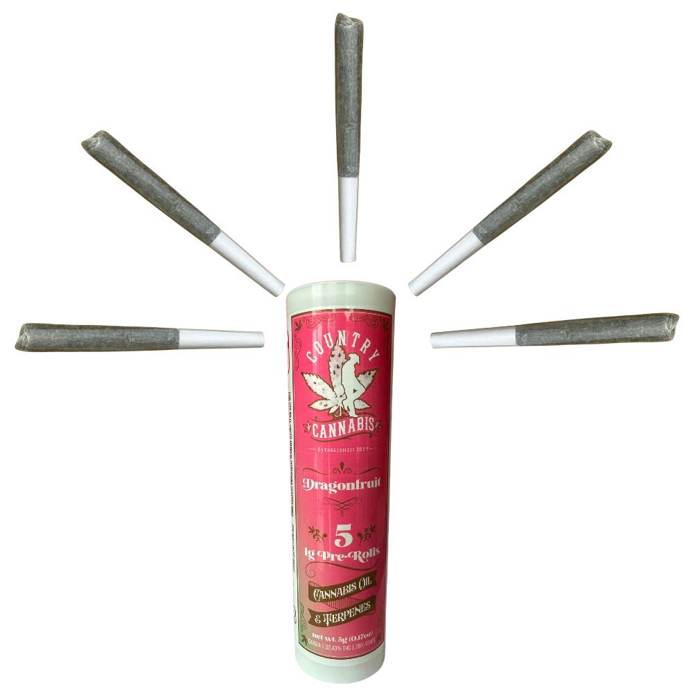 COUNTRY CANNABIS — Dragon Fruit