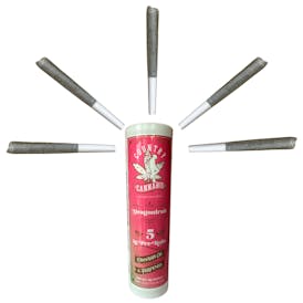 Dragon Fruit | Infused Pre-Roll | 1G | 5pk
