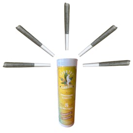 Pineapple Express | Infused Pre-Roll | 1G | 5pk