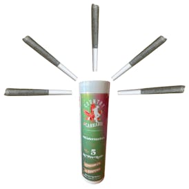 Watermelon | Infused Pre-Roll | 1G | 5pk