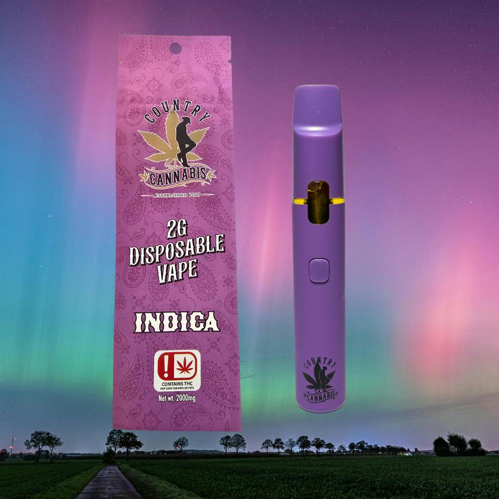 vape thc 2g 2g Mini Disposable Vape Pen - Exotic THC Blend main image 1