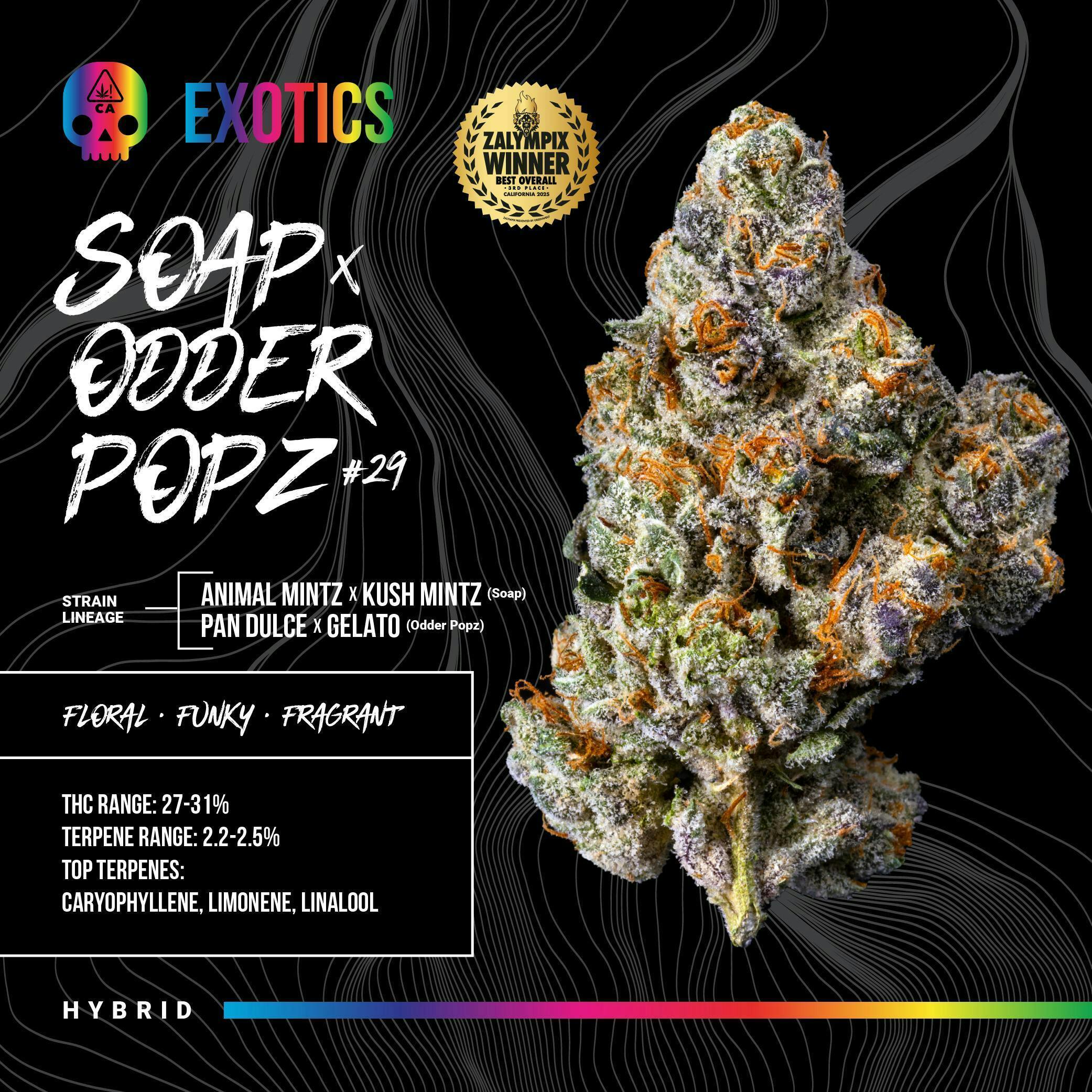 Soap Odder Popz #29 Big