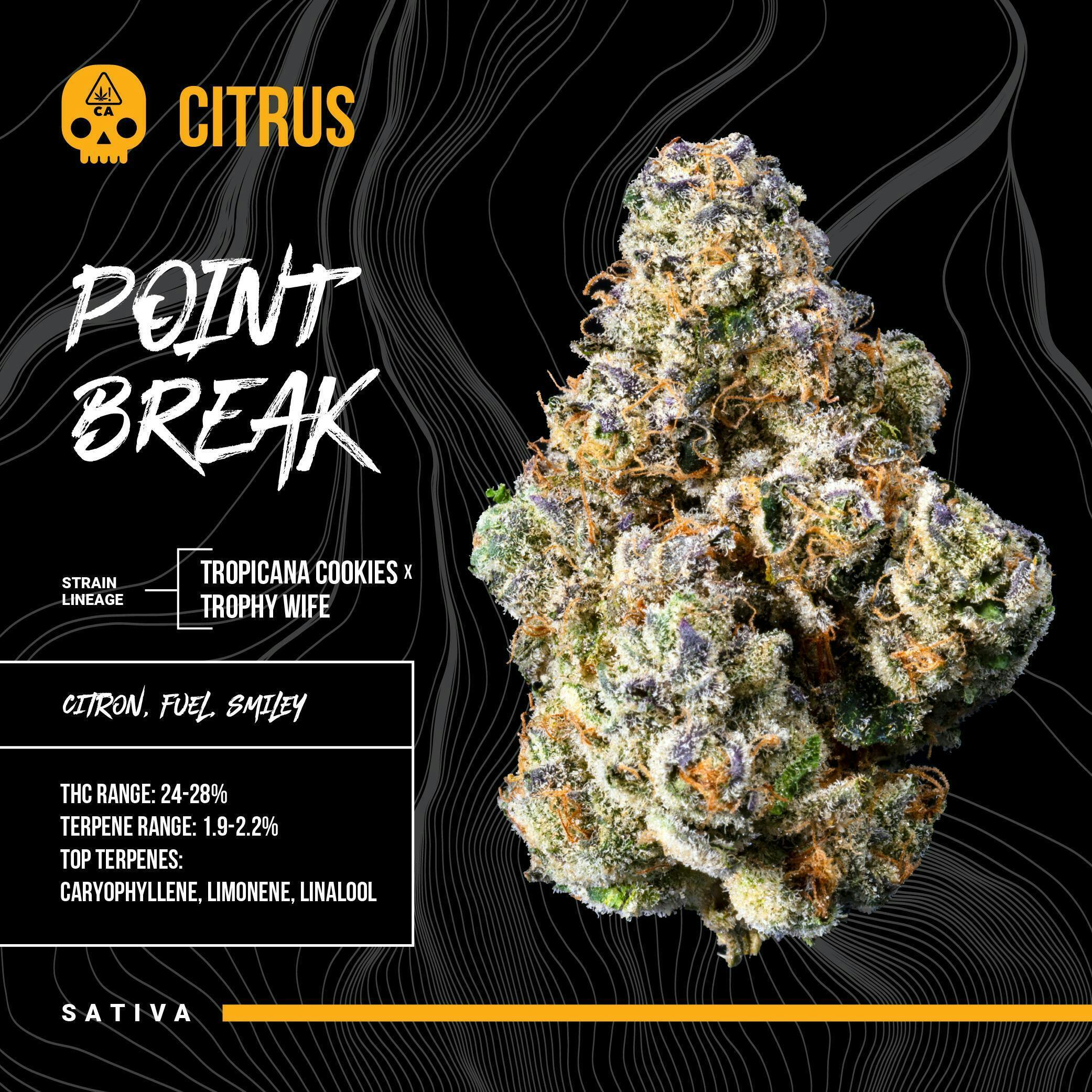 Bosky Genetics — Point Break