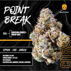 BOSKY - Point Break (14G SMALL BUDS)