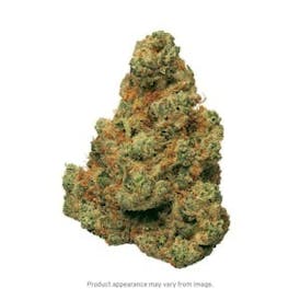Flower Small Buds - Orange Cookies Chem