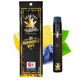 Blueberry Lemonade | Vape | 2G