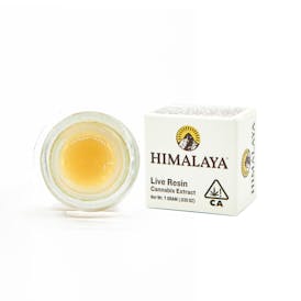 Saffron - Live Resin Concentrate - 1G