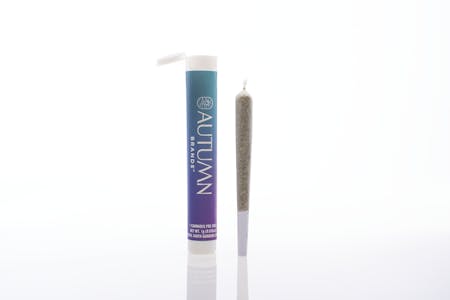 AUTUMN BRANDS - Autumn Brands Preroll 1g Purple Carbonite