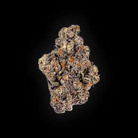Premium Flower | Sherb Cream Pie