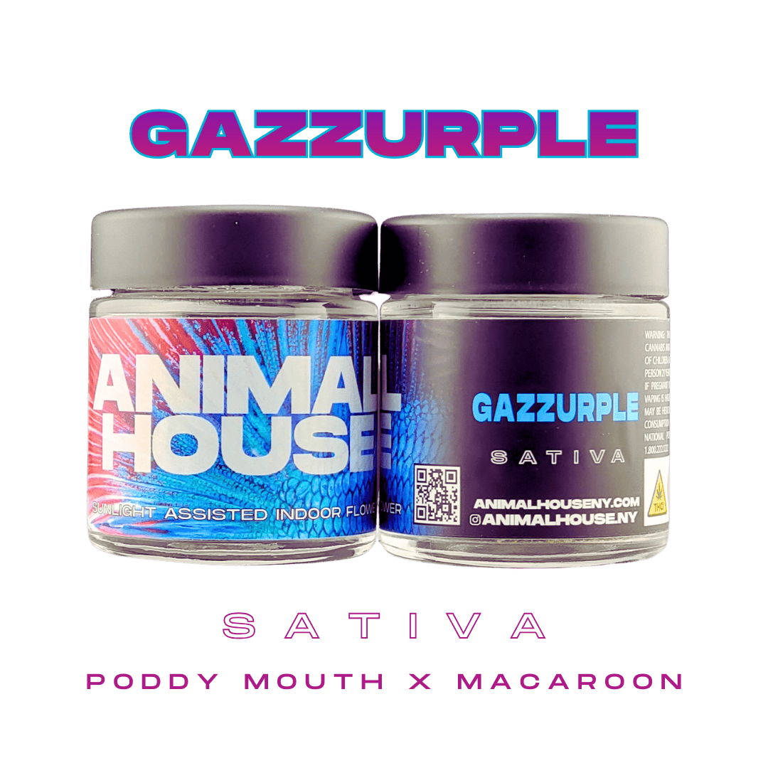 Animal House | Gazzurple | Big Buds | 3.5g by Animal House