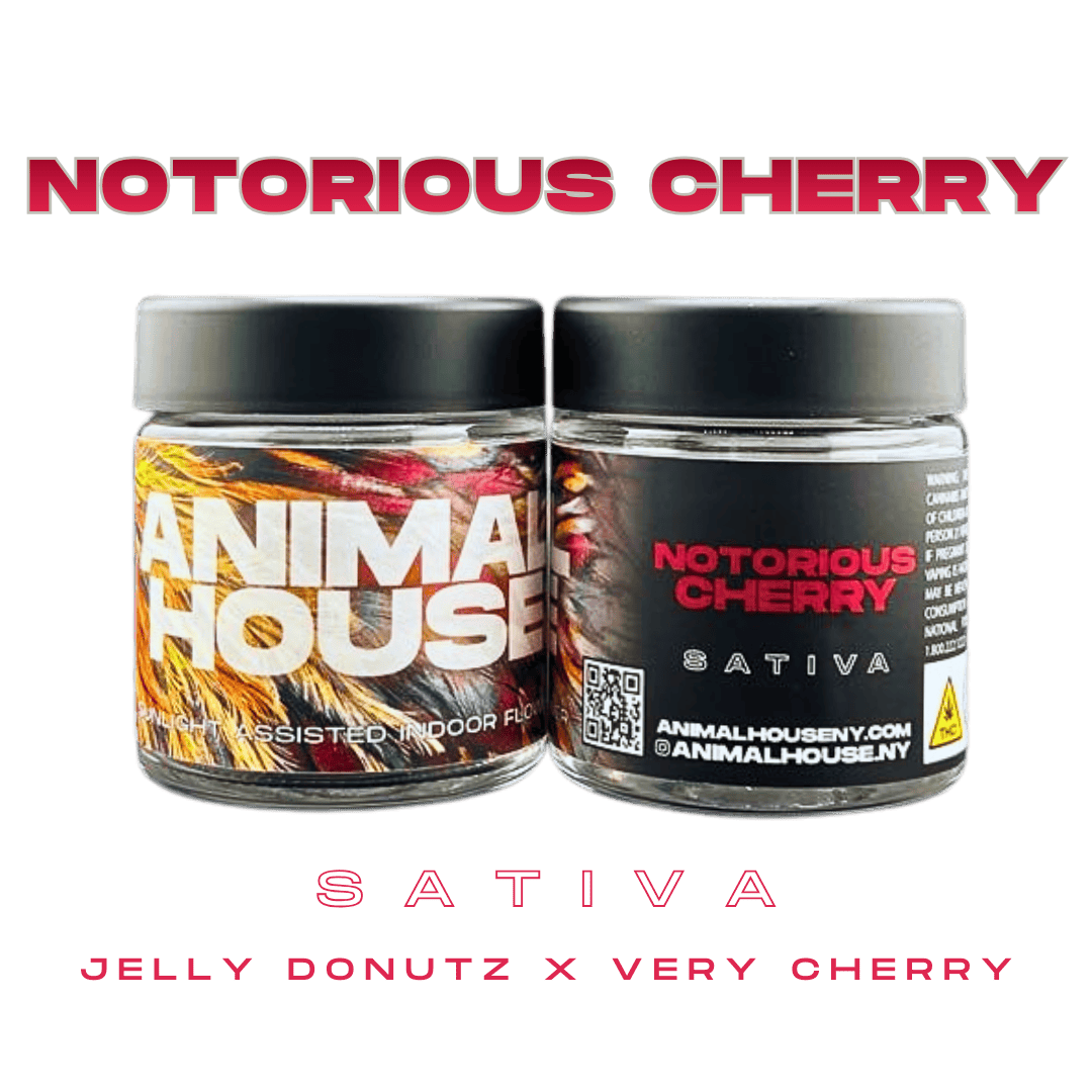 Animal House | Notorious Cherry | Big Buds | 3.5g by Animal House