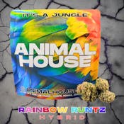 Rainbow Runtz | Flower | 3.5g (Animal House)