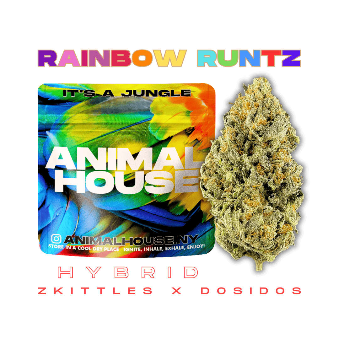 Animal House | Rainbow Runtz | Big Buds | 3.5g - Animal House