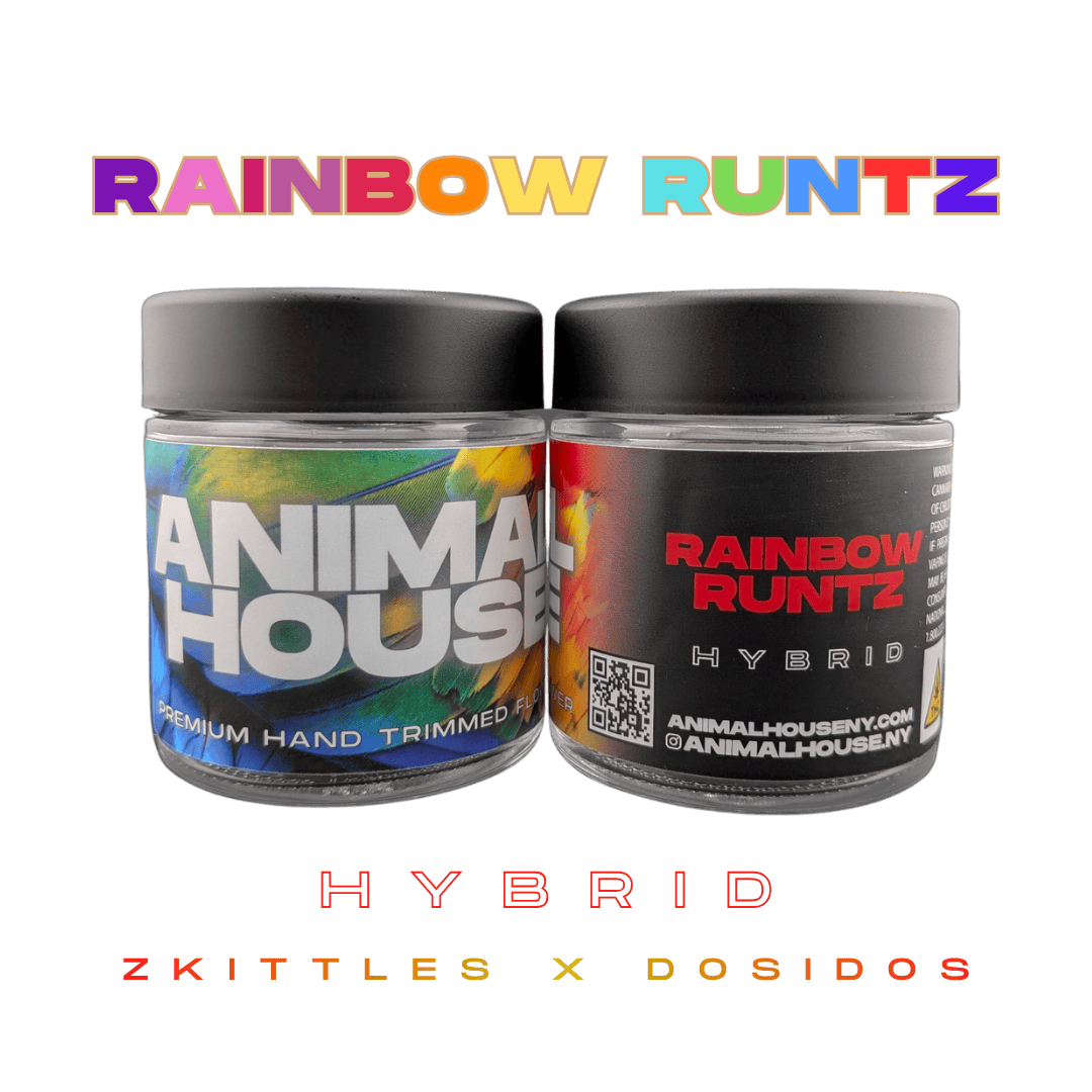 Animal House | Rainbow Runtz | Big Buds | 3.5g