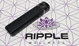 Vape Cart - All In One/Disposable - Live Rosin - GMO