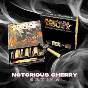 ANIMAL HOUSE - Animal house | Notorious Cherry | Kief Infused Preroll | 7pk x 0.5g (3.5g)