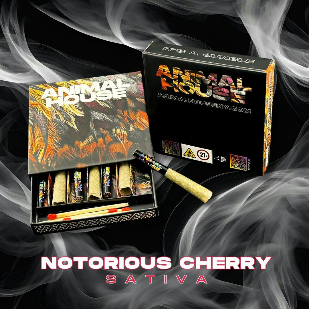 Animal House | Notorious Cherry | Infused Minis | 0.5g each | 7pk by Animal House