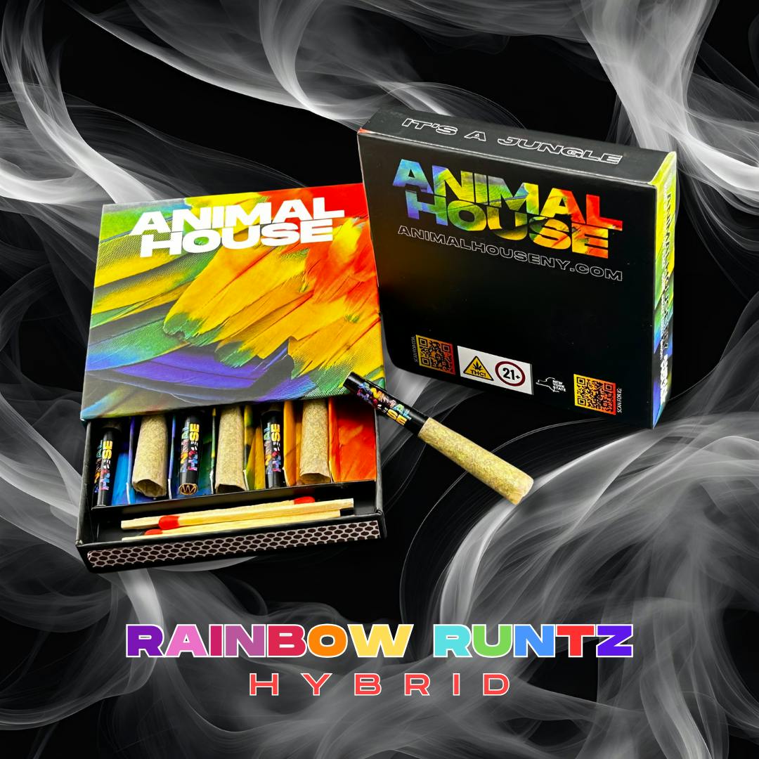 Animal House | Rainbow Runtz | Infused Minis | 0.5g each | 7pk - Animal ...