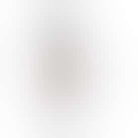 MAUI WOWIE 1.1G INFUSED JOINT