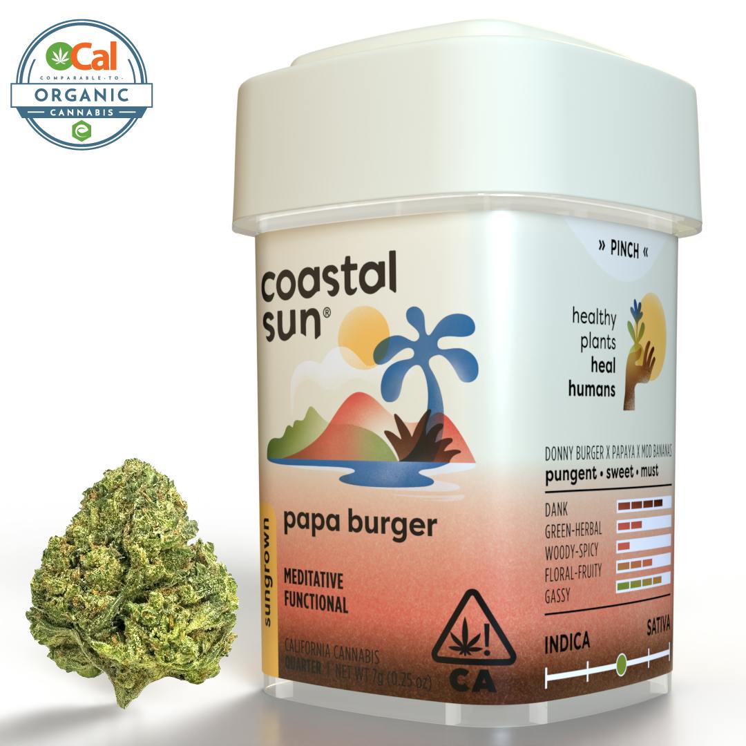 Coastal Sun — Papa Burger