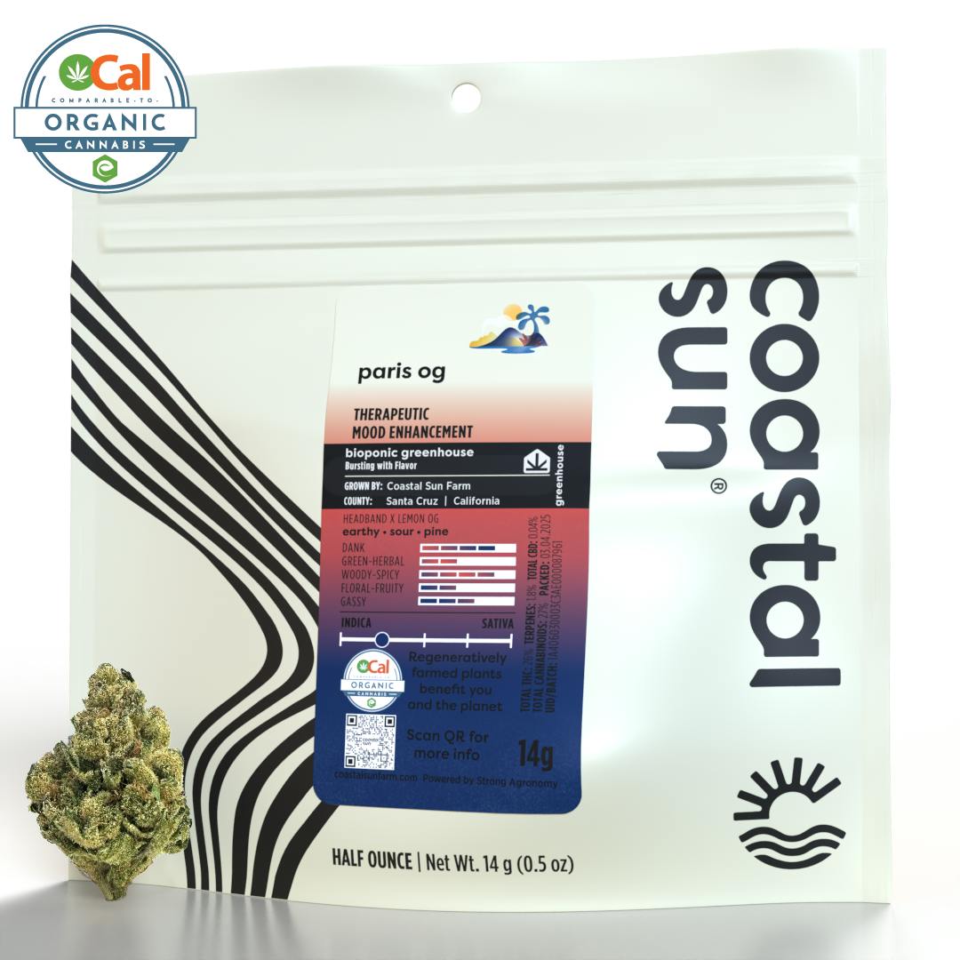 Coastal Sun — Paris OG