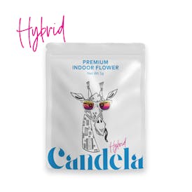 Candela Platinum Lifehack 1G Prepack