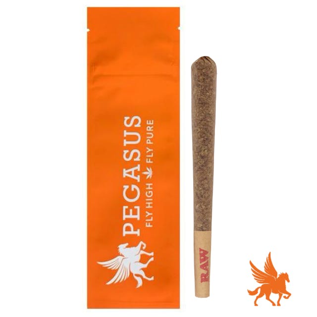 Preroll | 1G Mega Runtz by Pegasus Green