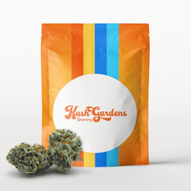 Popcorn Flower - Sunset Sherbert