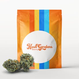 Popcorn Flower - Sunset Sherbert