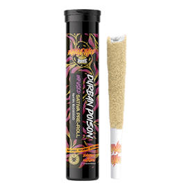 Jungle Juice - Durban Poison - 1g Infused Pre-Roll
