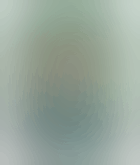 Jungle Juice - Rainbow Belts - 28 pack - 1g Pre-Roll