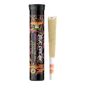 Jungle Juice - Blue Dream - 1g Infused Pre-Roll