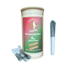 Watermelon | Mini Infused Pre-Rolls | 2G | 5pk
