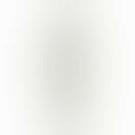 Raw Garden Low Voltage Variable Battery Kit