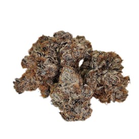 Gelato Biscotti